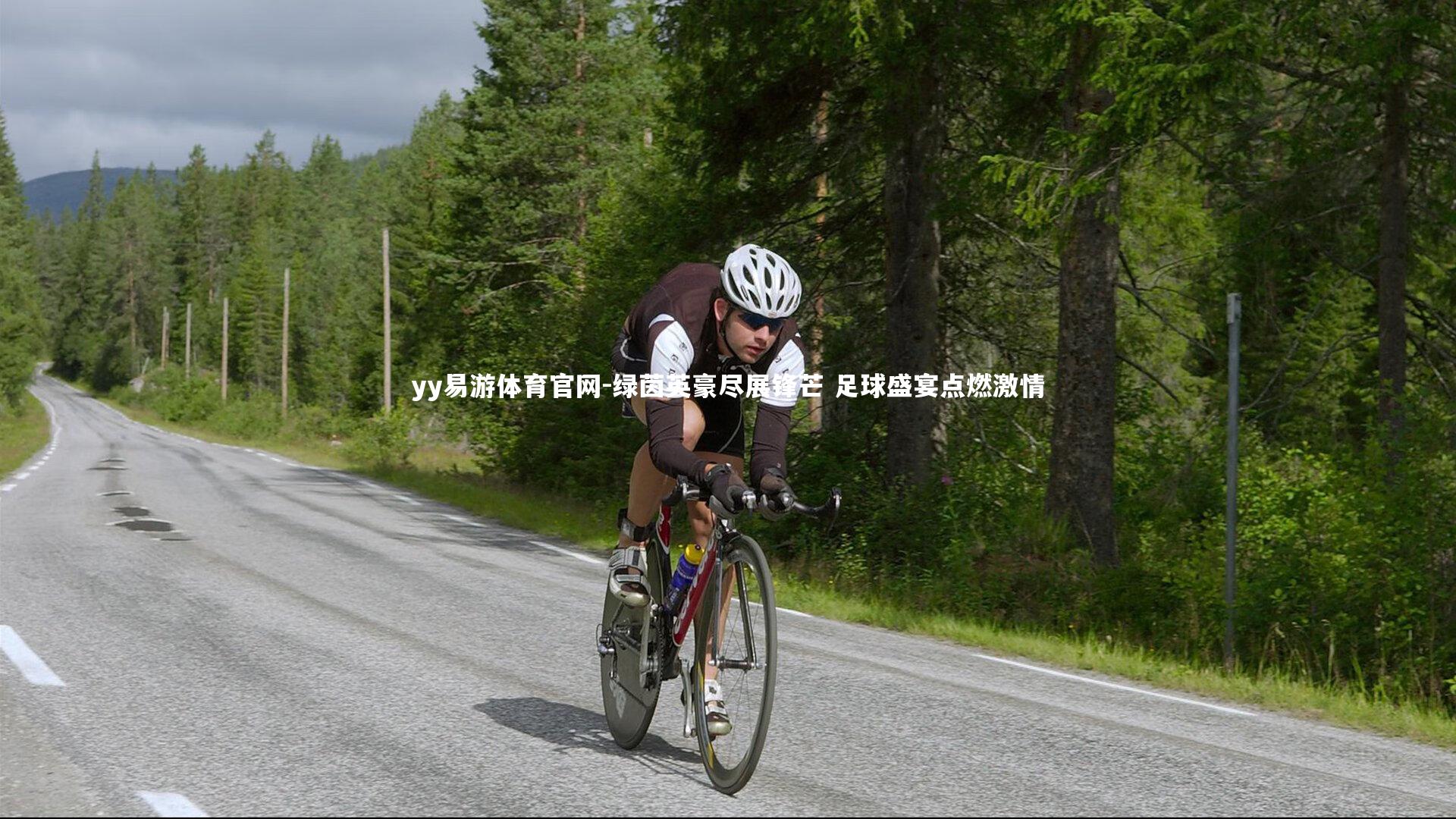 绿茵英豪尽展锋芒 足球盛宴点燃激情